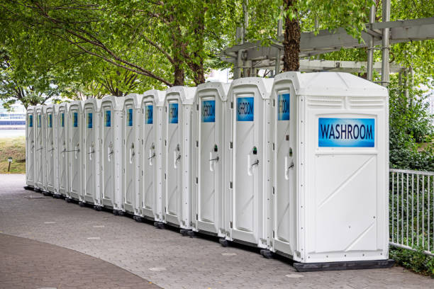 Best Affordable portable toilet rental  in Lake Fenton, MI
