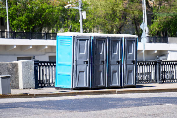 Best Porta potty for special events  in Lake Fenton, MI